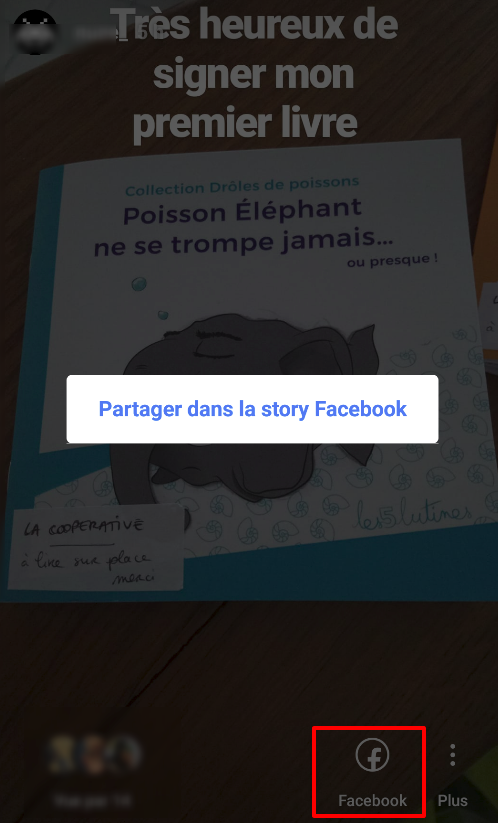 Capture d'écran du cross-postage d'Instagram vers Facebook. Cette fonctionnalité d'Instagram facilite le processus de publication de stories Facebook.