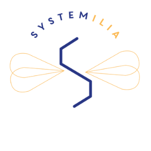 Systemilia : audit du site web et campagne LinkedIn