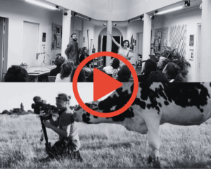 Formation "Maîtriser la production multimédia pour les réseaux sociaux" (4 jours)